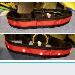 🟩🔥🐕NIP~LIGHT UP DOG COLLAR-RED🐕